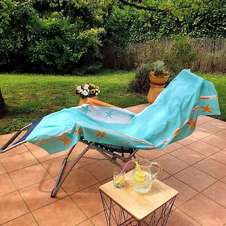 D'hotes Pin Parasol * Rabastens