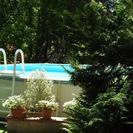 Oda ve Kahvaltı D'hotes Pin Parasol Rabastens